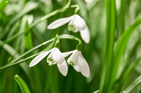 Nahaufnahme Supernasse Fotze: Zarte Fotze spritzt vor